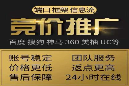 SEM竞价实战：成功案例解析
